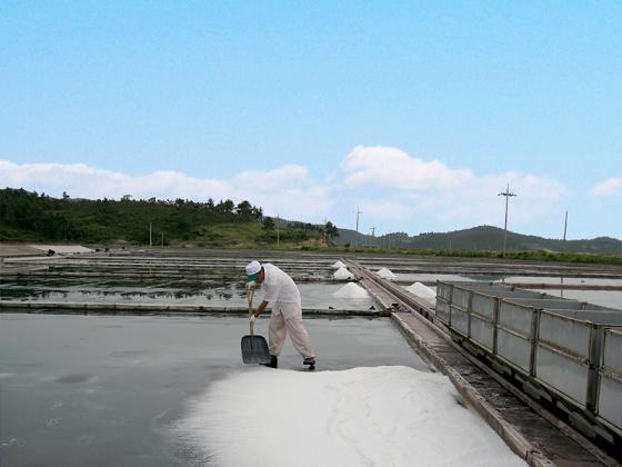 Sea Salt in Large Package Made in Korea